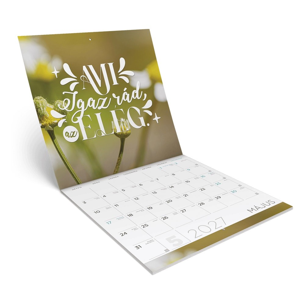 Falinaptar_LIZZYCALENDAR_300x600mm_allo_Motivacio_2027-i2660176.jpg