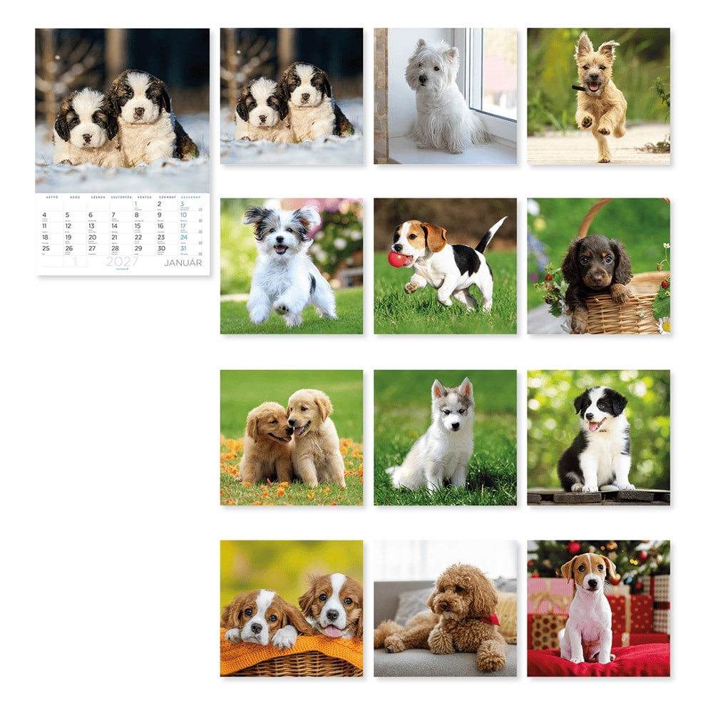 Falinaptar_LIZZYCALENDAR_B_4_allo_spiralozott_Kutyak_2027-i2660506.jpg