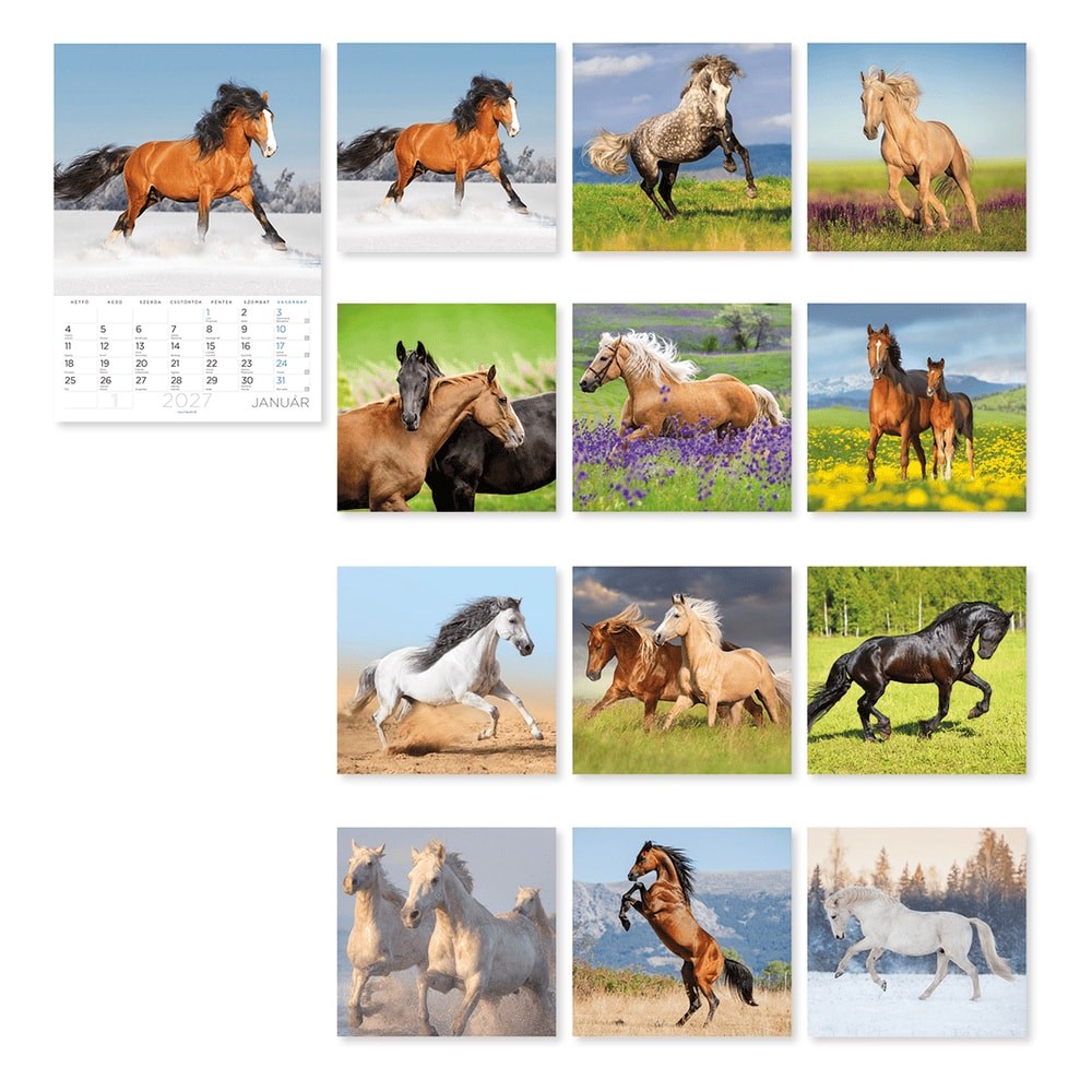 Falinaptar_LIZZYCALENDAR_B_4_allo_spiralozott_Lovak_2027-i2660528.jpg