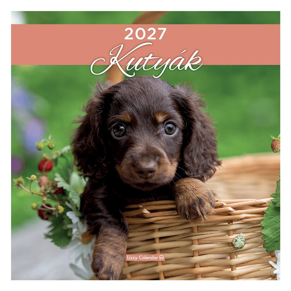 Falinaptár LIZZYCALENDAR 300x600mm álló Kutyák 2027