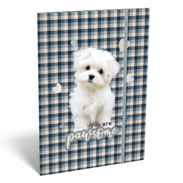 Gumis mappa LIZZY CARD A/4  Pawsome