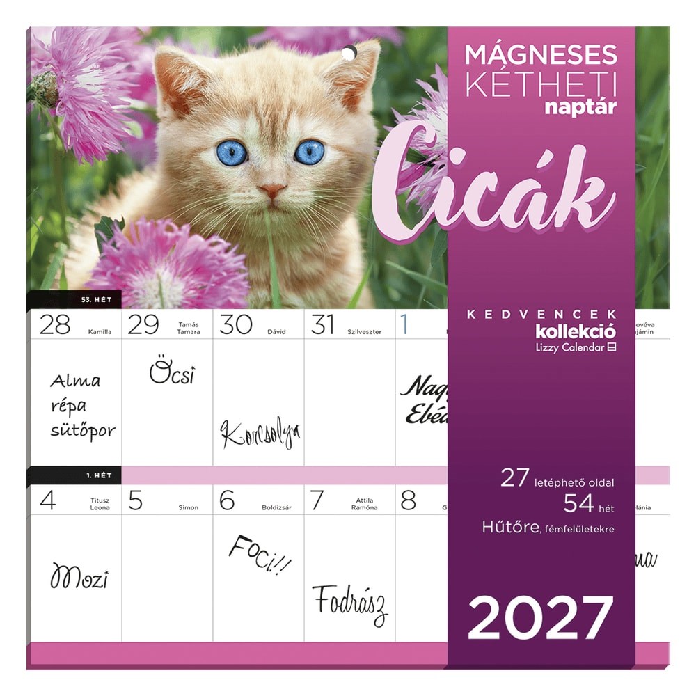 Falinaptár LIZZYCALENDAR 220x220mm 2 hetes mágneses Cicák 2027